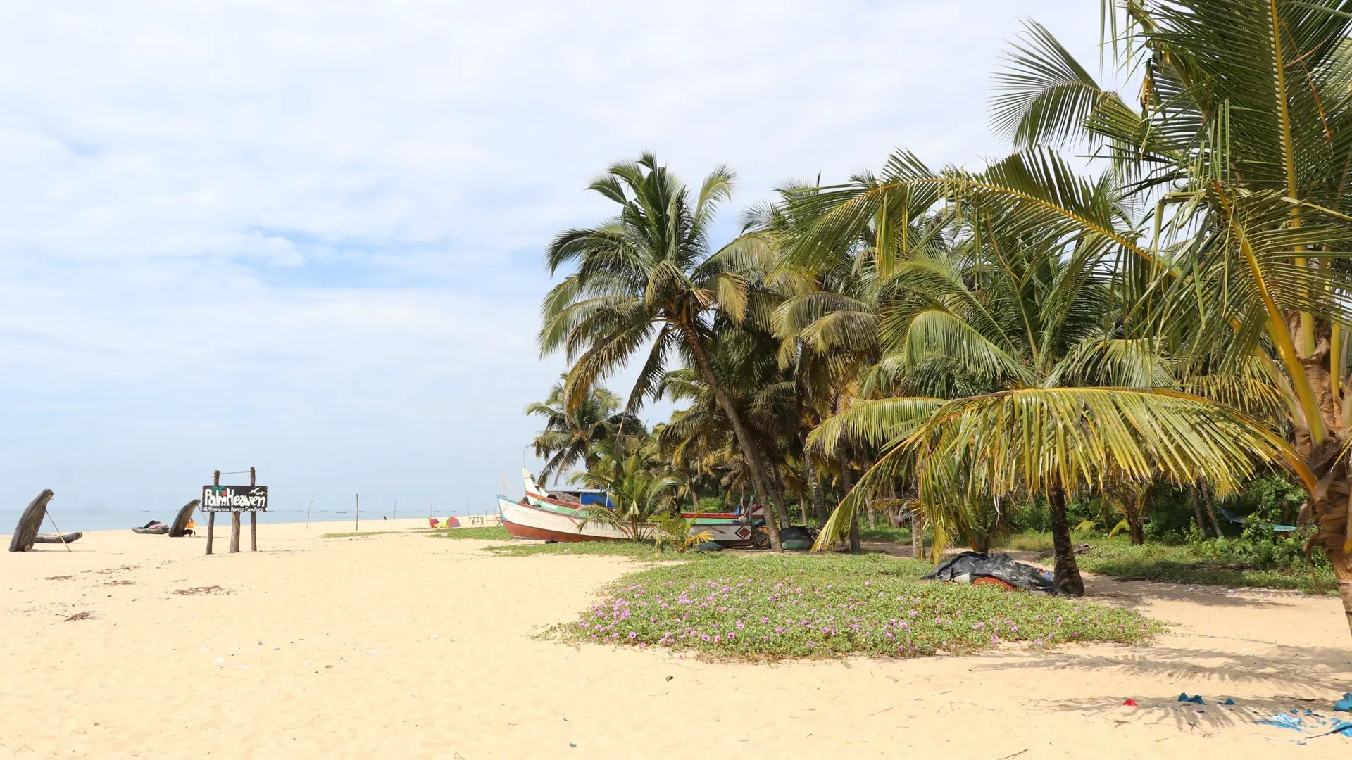 Sunny palm-lined Batticaloa beach with small fishing boats