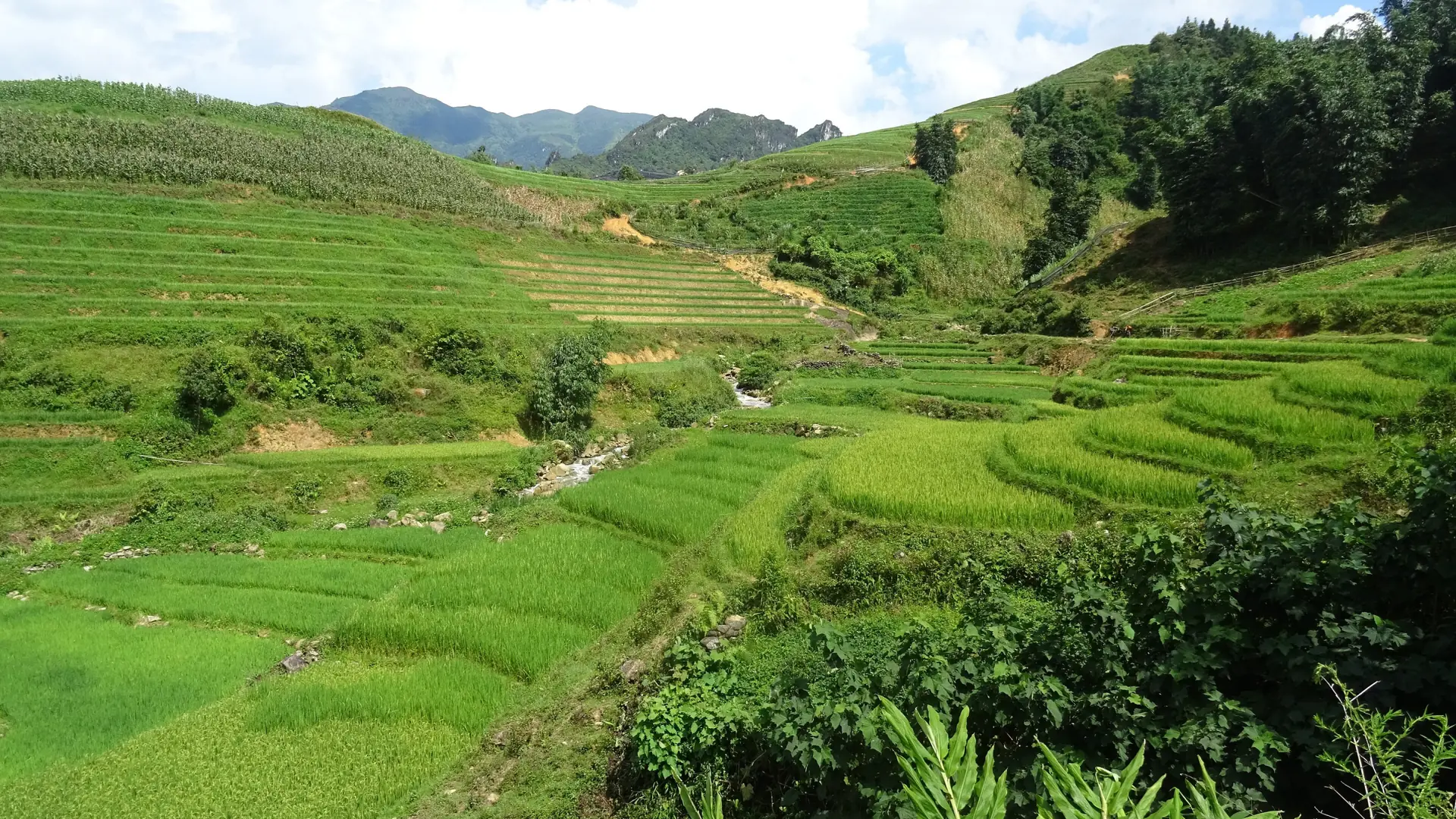 Green terraces and mountain slopes in the wider Sapa countryside