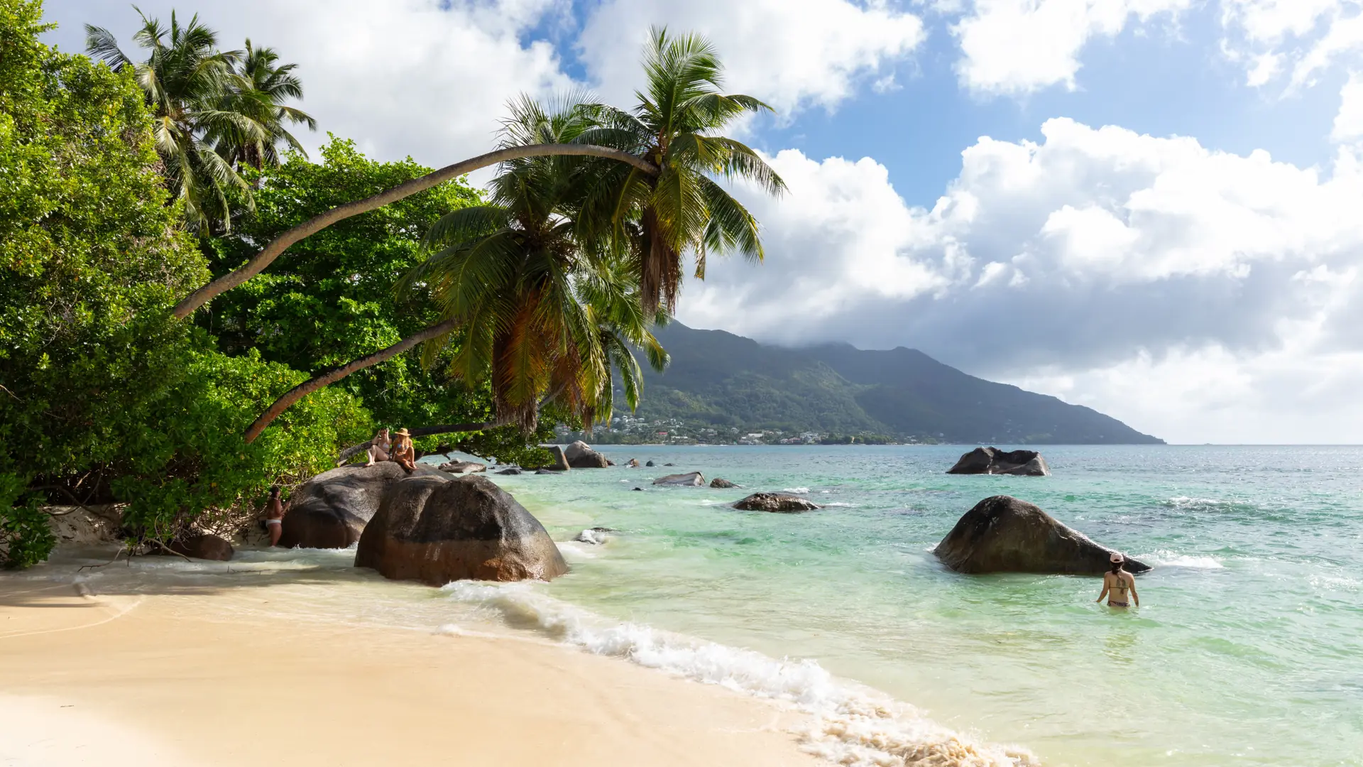 Boulders and palms at the edge of Beau Vallon beach