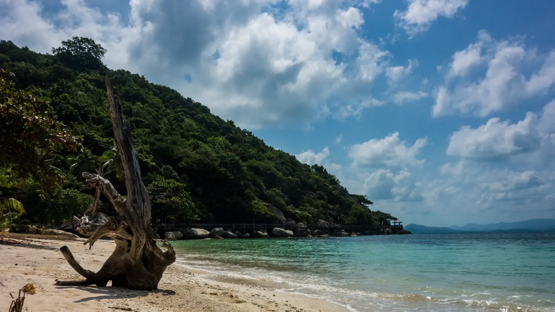 Sand, driftwood and sea on Koh Phangan, a wider island beach scene