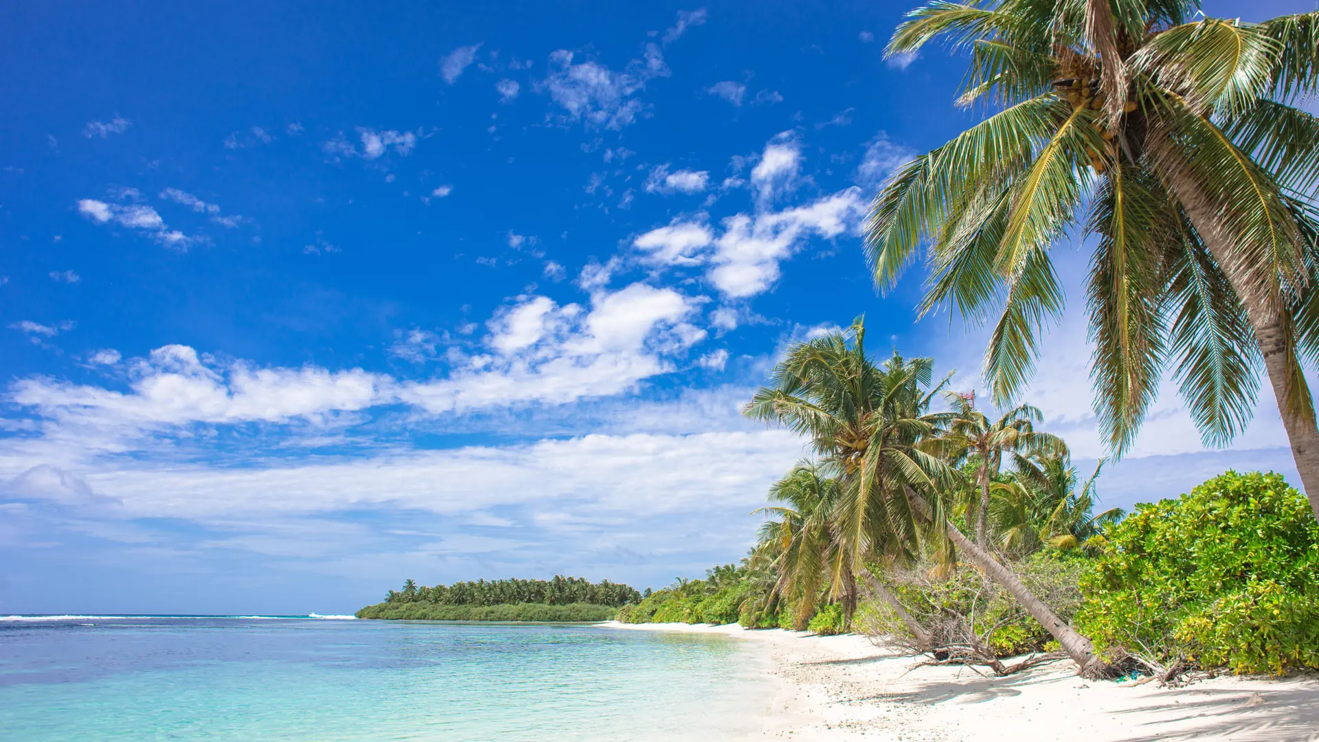 Bright daytime view of a Maldivian island shoreline and clear sea