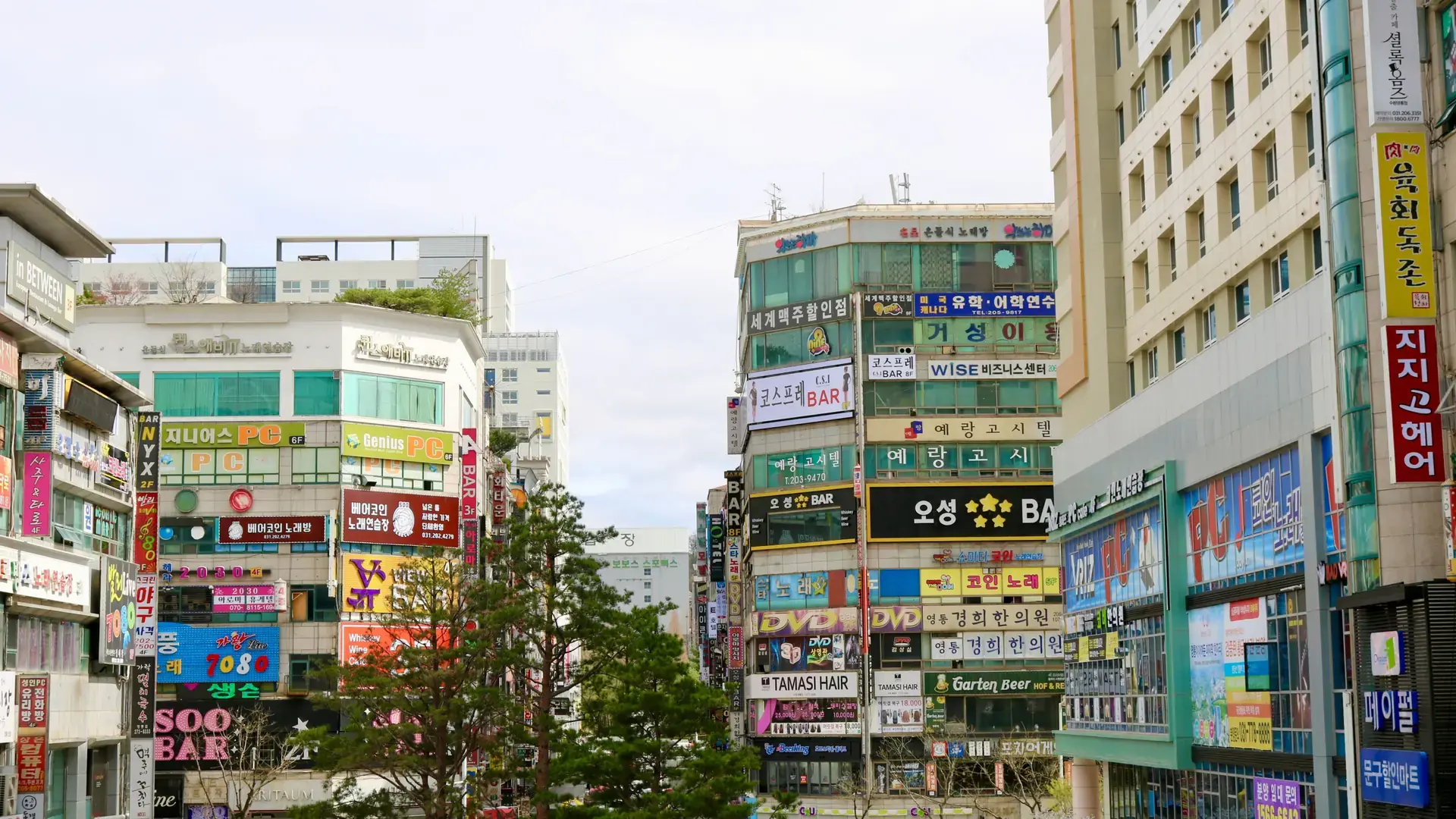 A colorful entertainment district street in Seoul lined with signage
