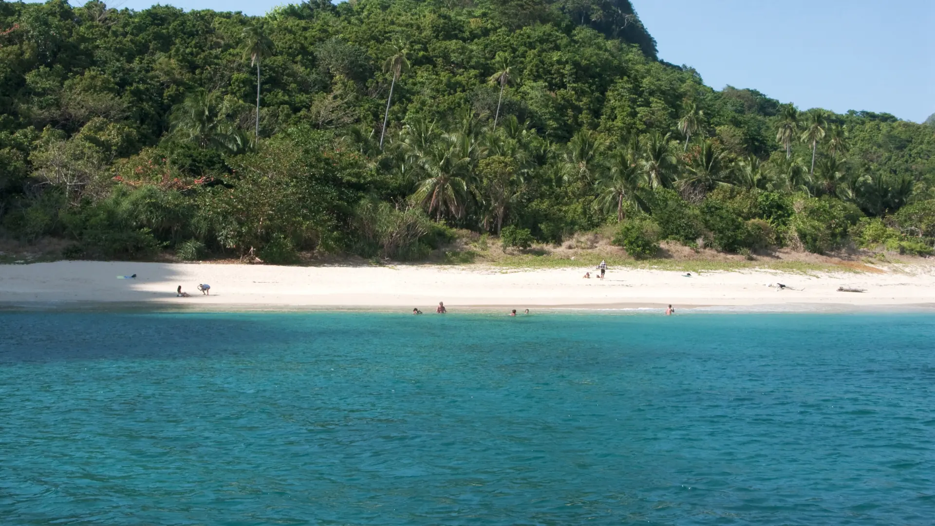 Quiet white-sand beach below a forested hill with clear turquoise shallows in the El Nido area