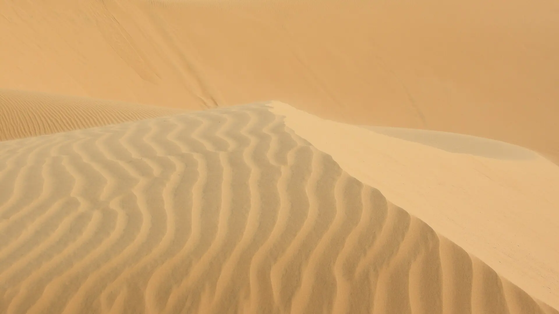 Mui Ne dune ridges textured by sunlight
