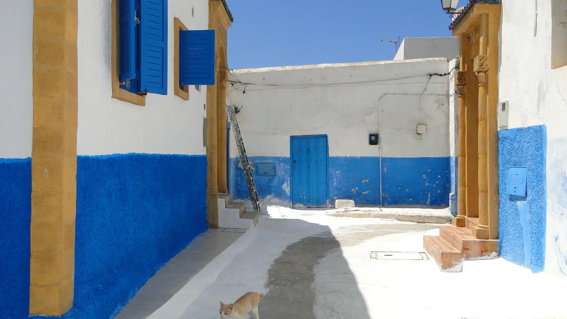 White-and-blue lanes of the Oudayas kasbah in Rabat sunlight