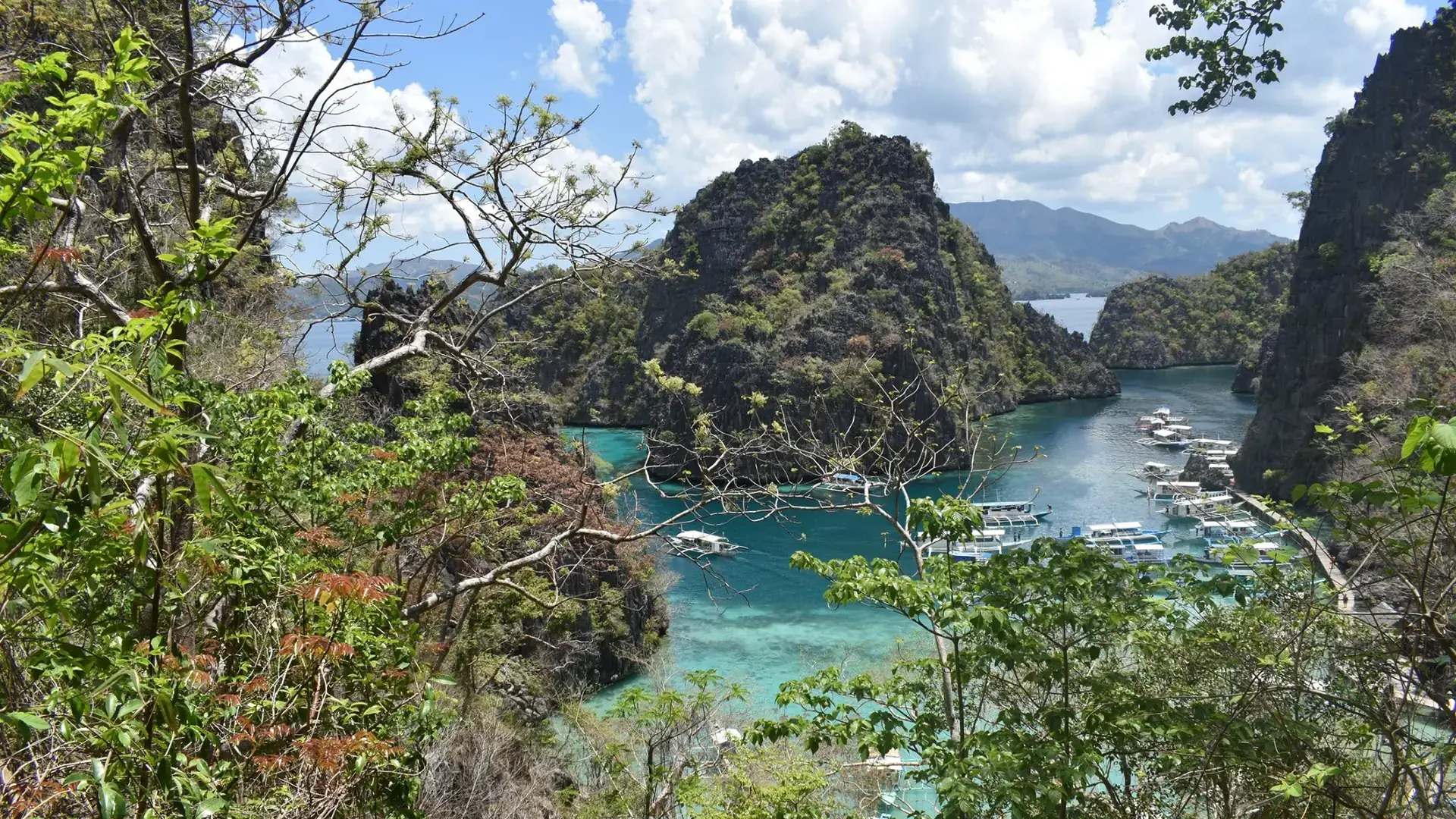 Limestone coves and moored bangkas seen from the Kayangan Lake viewpoint on Coron Island