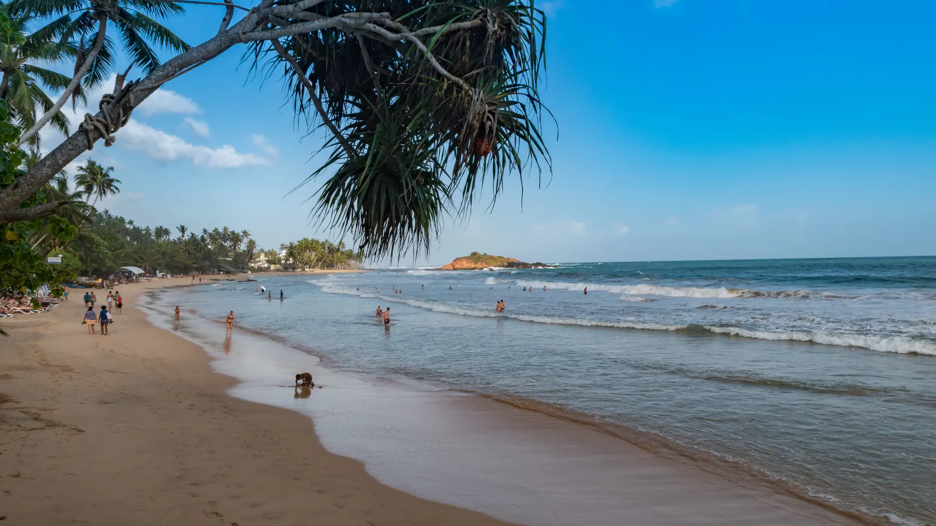 Palm-framed view along Mirissa Beach with swimmers and gentle surf