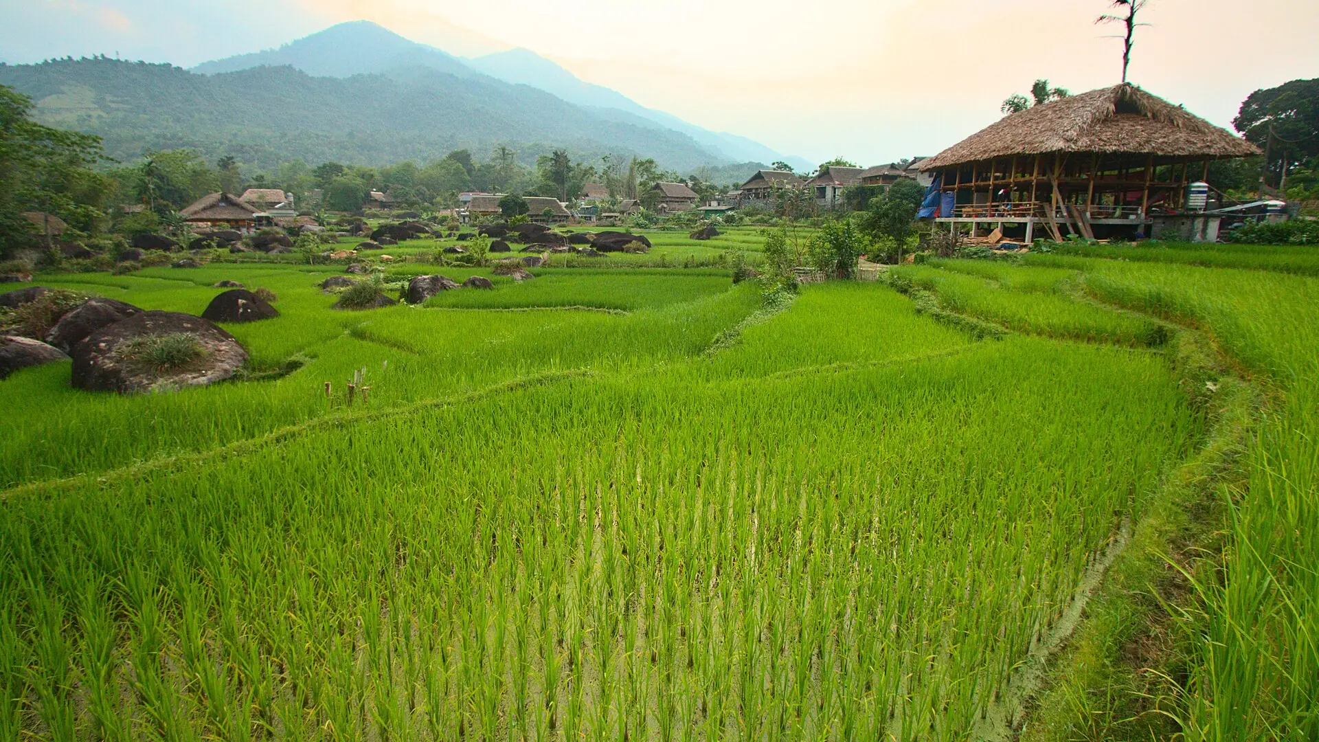 Ha Thanh fields and homes, wider Ha Giang gateway scenery