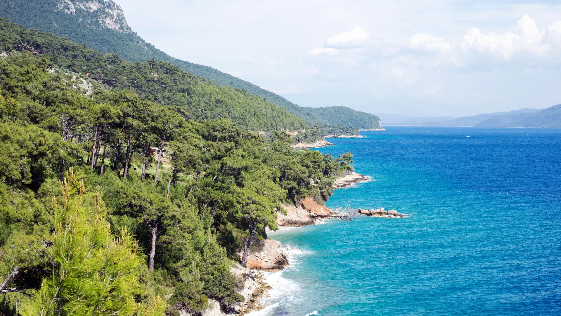 Pine-covered rocky shoreline beside the blue waters of the wider Gökova Gulf