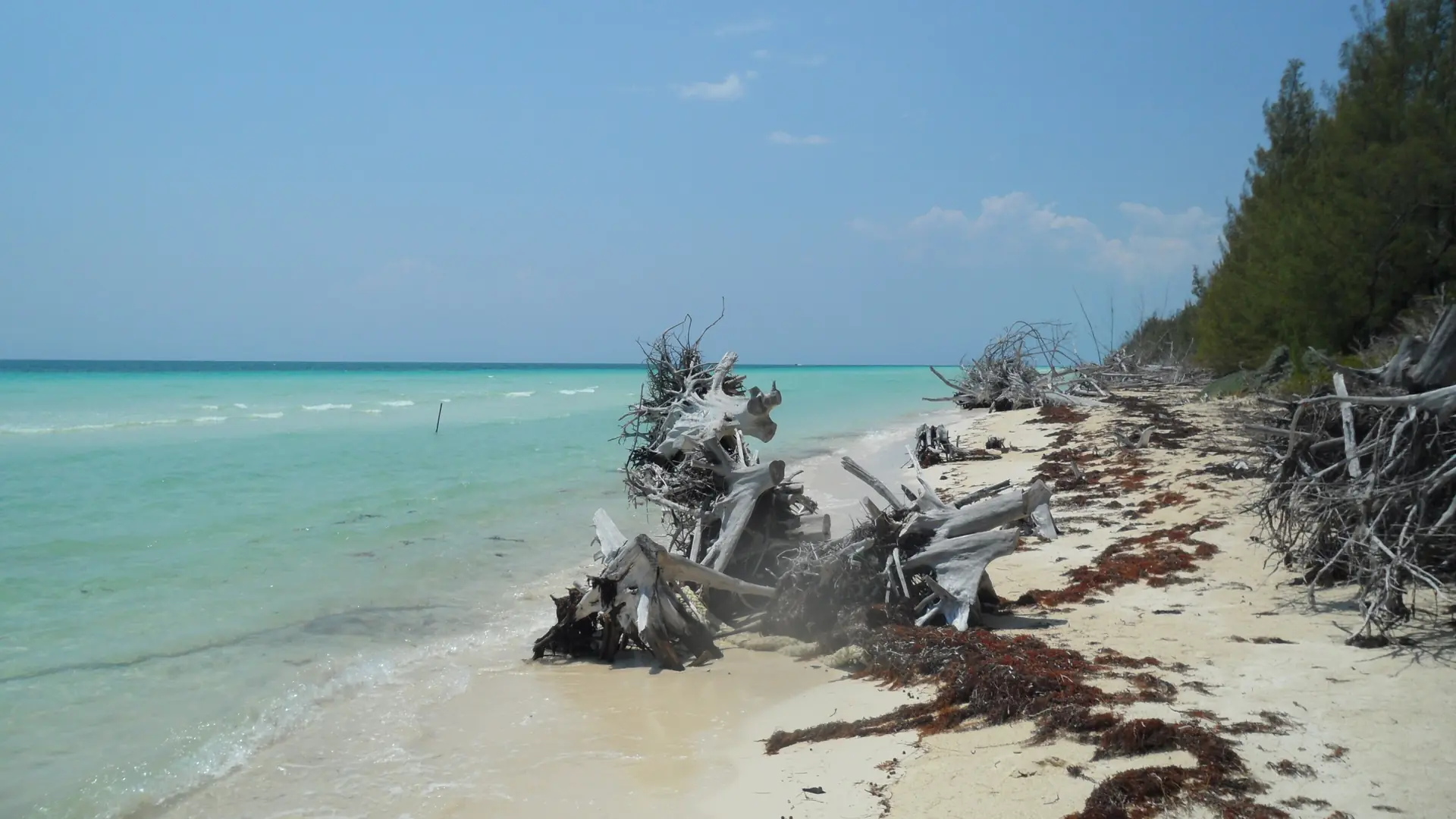 Gold Rock Beach on Grand Bahama in the Bahamas
