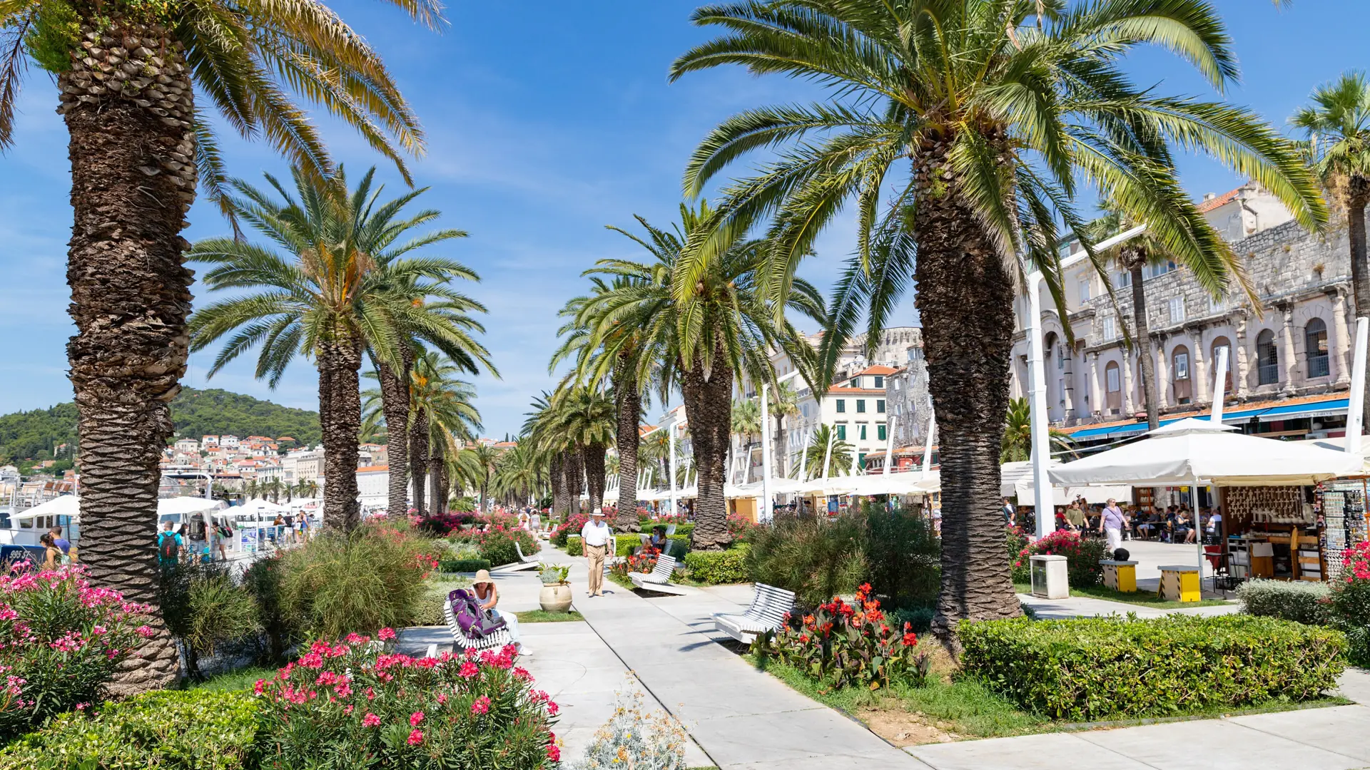 Palm-lined Riva promenade in Split under a bright blue sky, with the palace behind